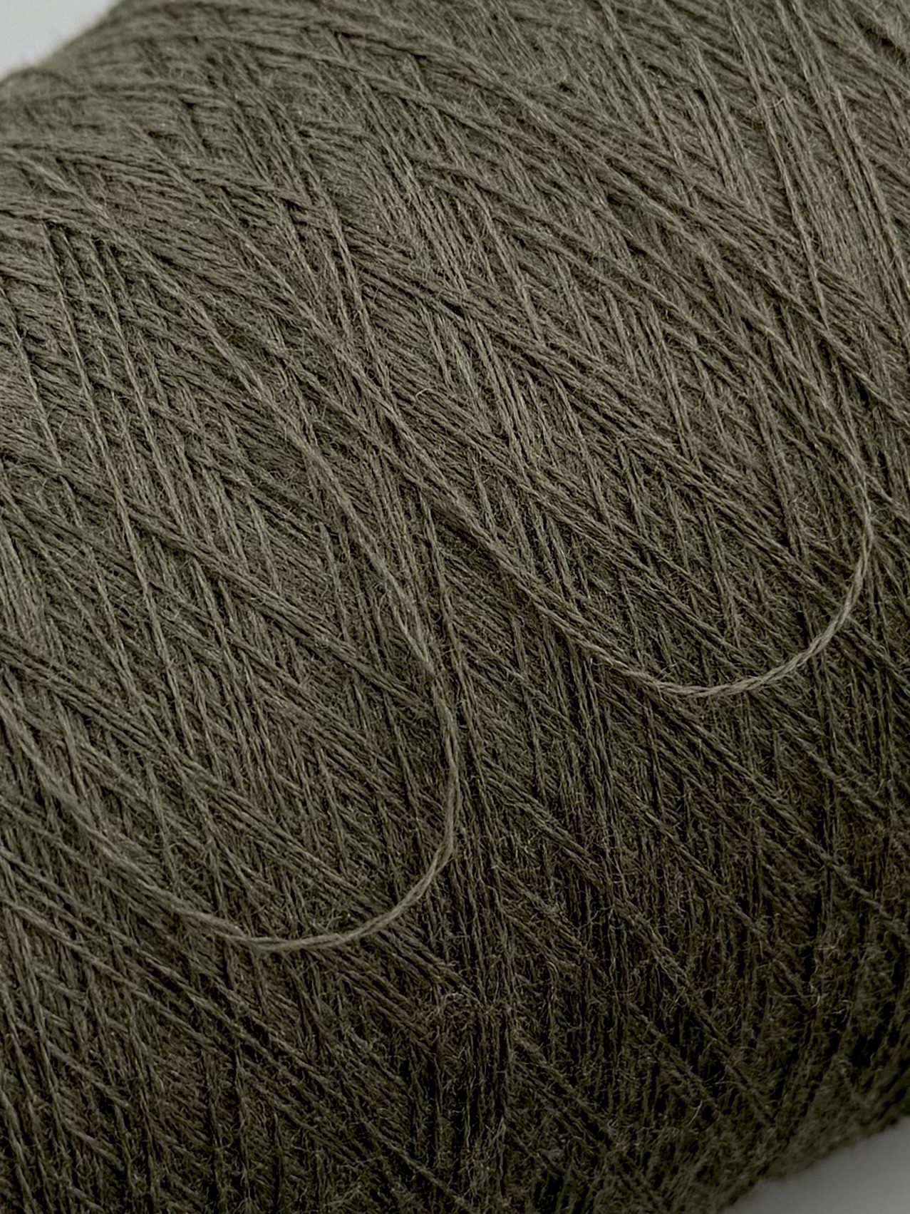 Zegna Baruffa Cashwool 2/30 – Fil mérinos extrafin Vert Sapin 169852